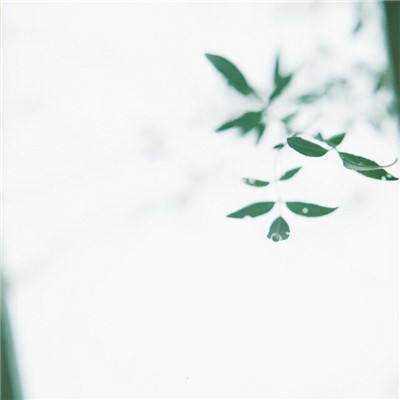 斐雪派克与加拿大头部旅居车品牌达成合作